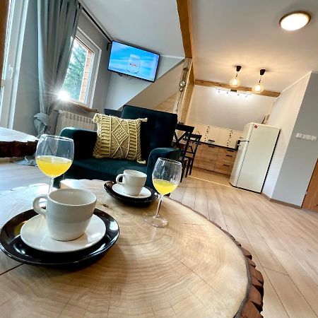 Apartament Karkonoska プシェシェカ エクステリア 写真