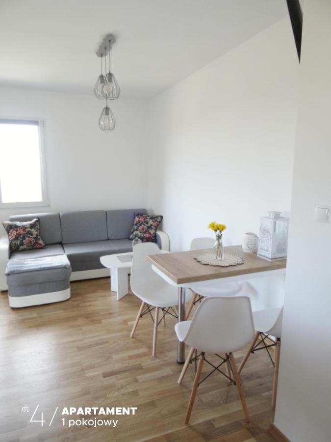 Apartament Karkonoska プシェシェカ エクステリア 写真