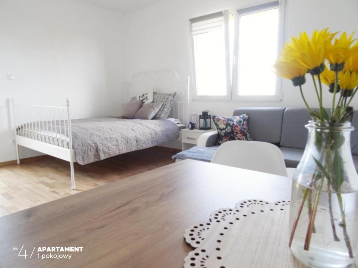 Apartament Karkonoska プシェシェカ エクステリア 写真