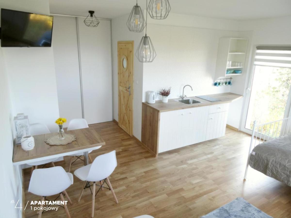 Apartament Karkonoska プシェシェカ エクステリア 写真