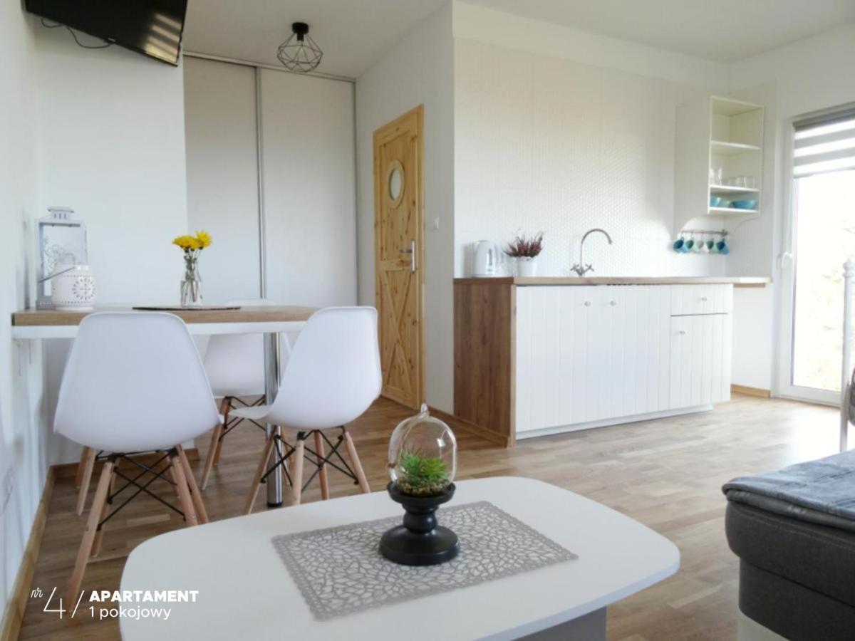 Apartament Karkonoska プシェシェカ エクステリア 写真